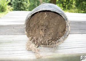 clogged french drain found in Brentwood, Connecticut and New York