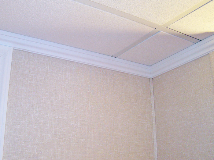 Basement Finishing Add Ons Doors Windows Crown Molding