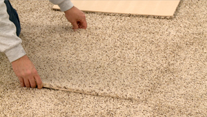 Individual Carpet Tiles