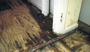 Water Damaged Basement Wood Floors