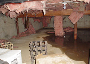 Fiberglass dripping off of the ceilings of a Fairfield crawl space