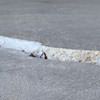 Slab floor cracks showing in a South Windsor home