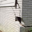 foundation walls cracked due to settlement in Stamford