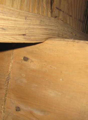 severe damage to a crawl space structure in a New Canaan home