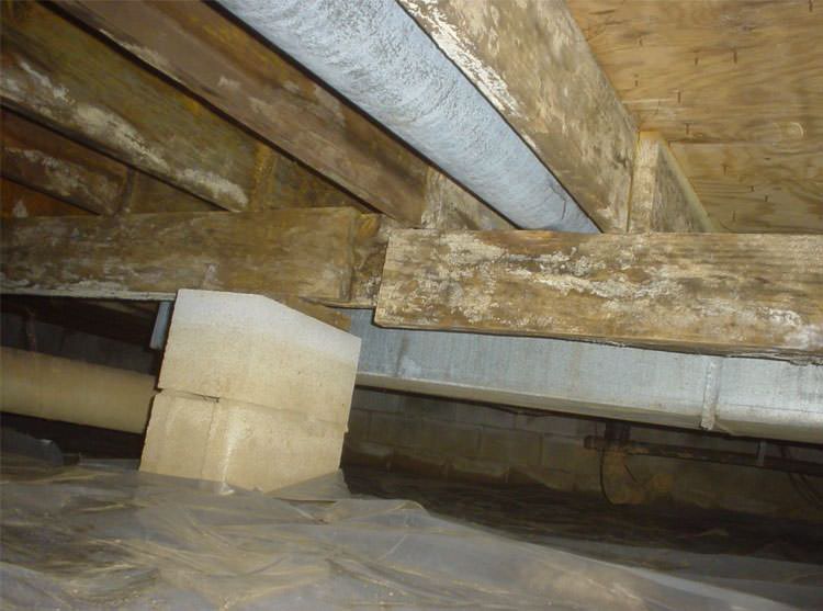 Getting Smart With Sagging Crawl Spaces - Image 1