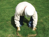 Restoring the landscaping by replacing removed lawn sections for a Hamden home.