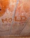 The word mold written with a finger on a moldy wood wall in Milford