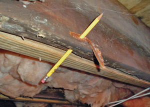 Destroyed crawl space structural wood in Meriden
