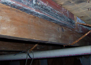 Rotting, decaying wood from mold damage in New Milford