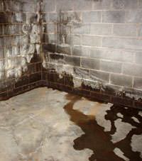 Water seeping through a concrete wall in a West Haven basement