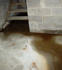 Flooding floor cracks by a hatchway door in Monroe