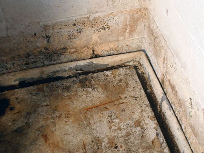 Installing An Effective Weeping Tile System In Connecticut