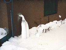 IceGuard® Installed Greenwich